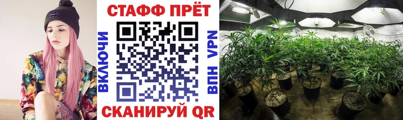 Купить Любим Каннабис  A PVP  Галлюциногенные грибы  Меф  Гашиш 