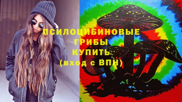 сатива Балахна