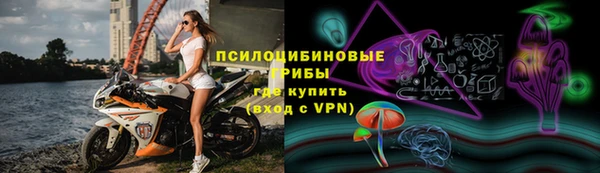 сатива Балахна