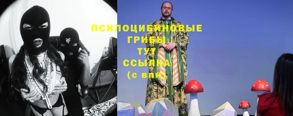 сатива Балахна