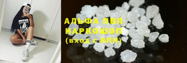 сатива Балахна