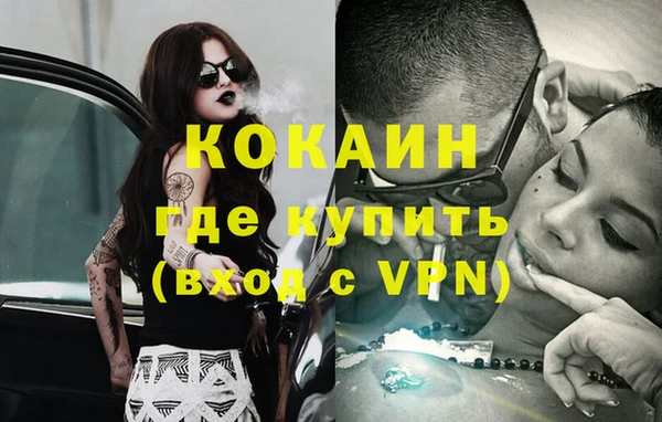 сатива Балахна