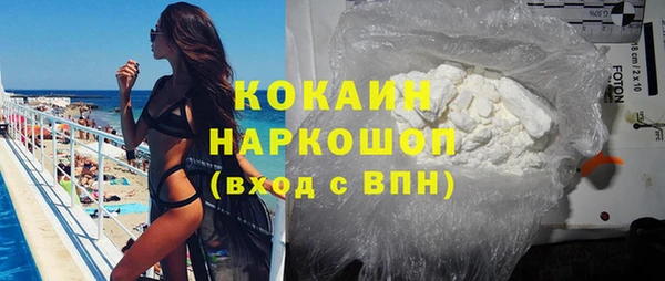сатива Балахна